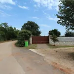 Holiday House Nar